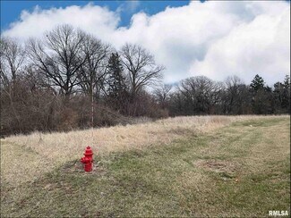 Plus de détails pour 5015 W Farmington Rd, Peoria, IL - Terrain à vendre
