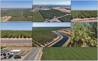 Plus de détails pour Northern Ca. - Permanent Crop Ranches – Terrain à vendre, Yuba City, CA