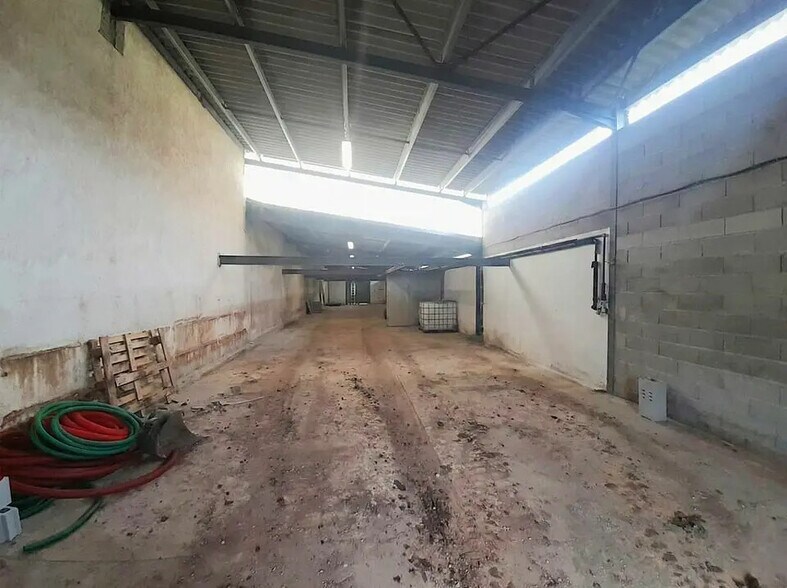 Industriel/Logistique dans Le Cannet-des-Maures à louer - Photo de l’immeuble – Image 1 sur 3