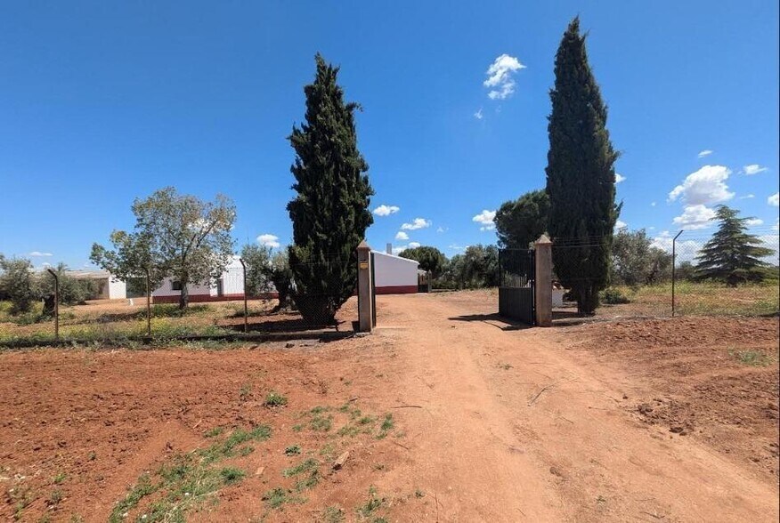 Terrain dans Solana de los Barros, Badajoz à vendre - Photo principale – Image 2 sur 49