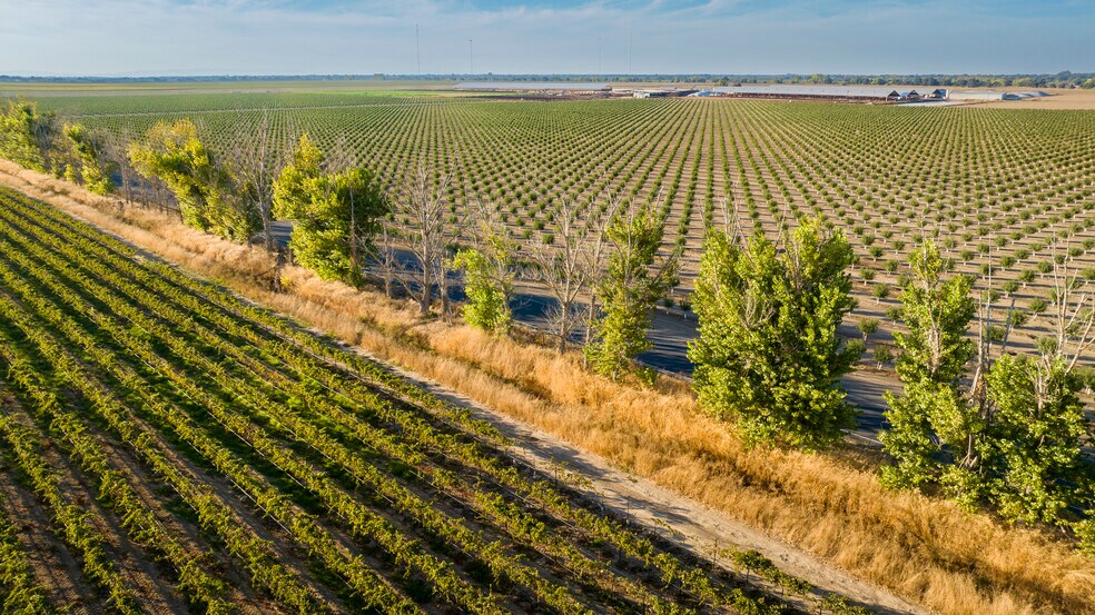 TFC Ranch, Lodi, CA à vendre - Aérien – Image 3 sur 31