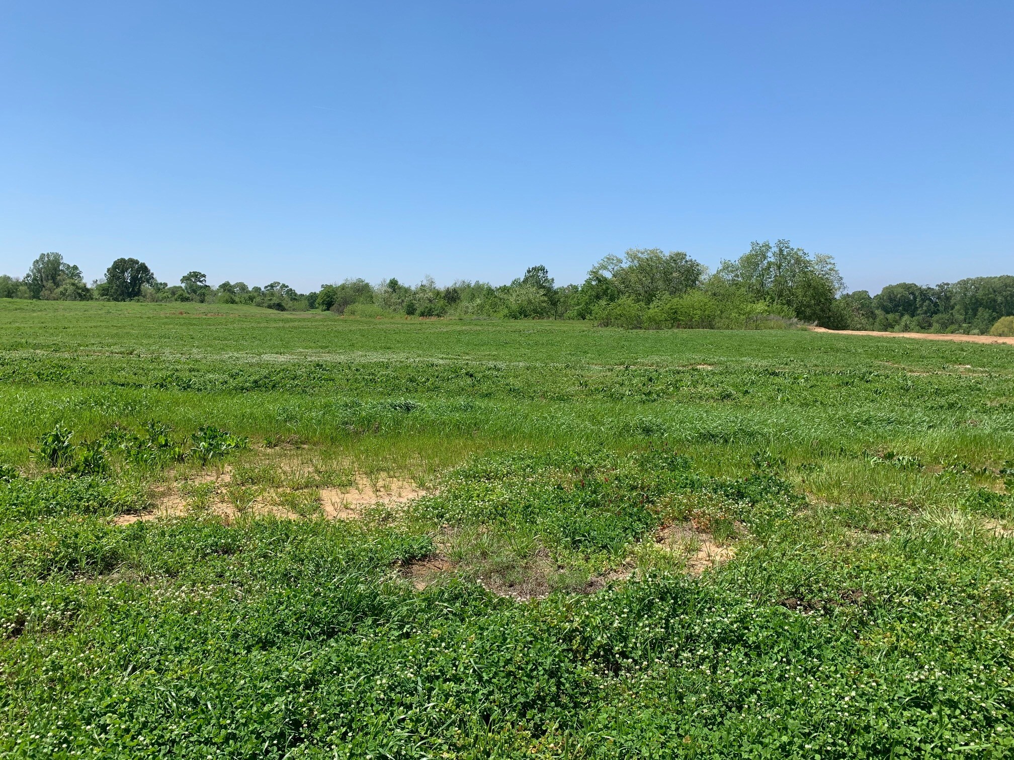 000B-3B Highway 61, Natchez, MS à vendre Photo de l’immeuble– Image 1 sur 5