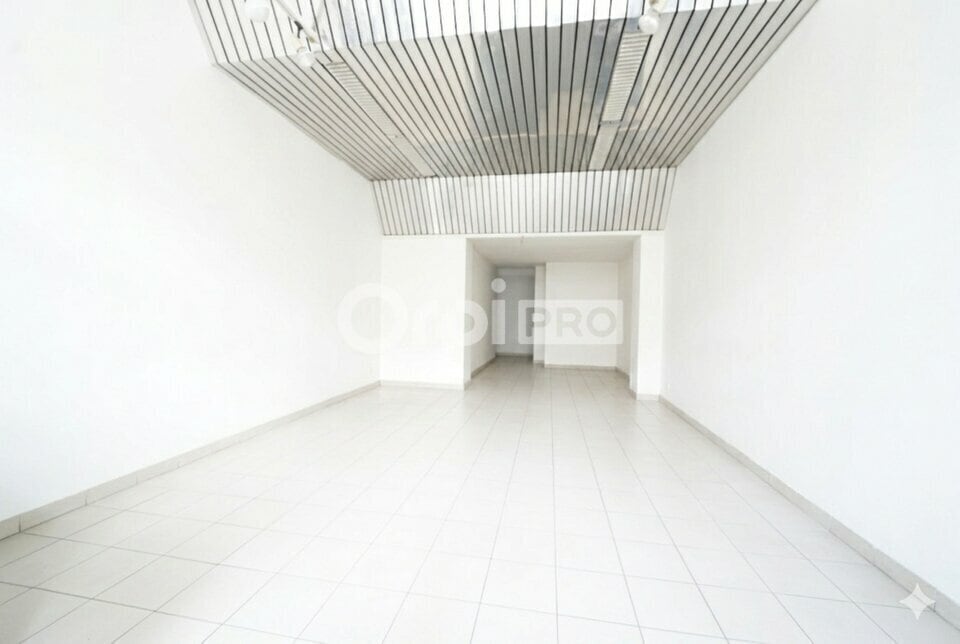 17 Cours Tolstoï, Villeurbanne à vendre Photo intérieure– Image 1 sur 8
