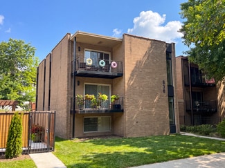 Plus de détails pour 836 S Morgan St, Chicago, IL - Logement à vendre