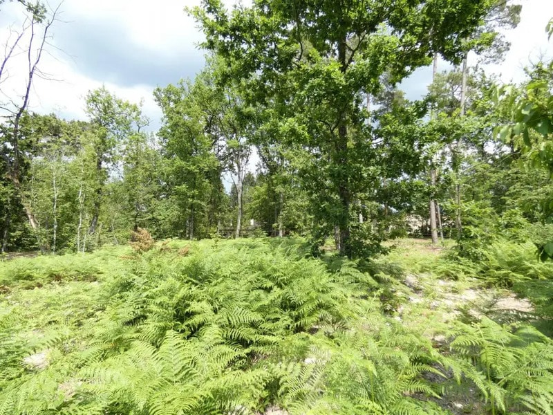 Terrain dans MARSAC-SUR-L'ISLE à vendre Photo de l’immeuble– Image 1 sur 6