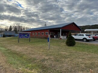 Plus de détails pour 1275 New York 990V, Gilboa, NY - Local commercial à vendre