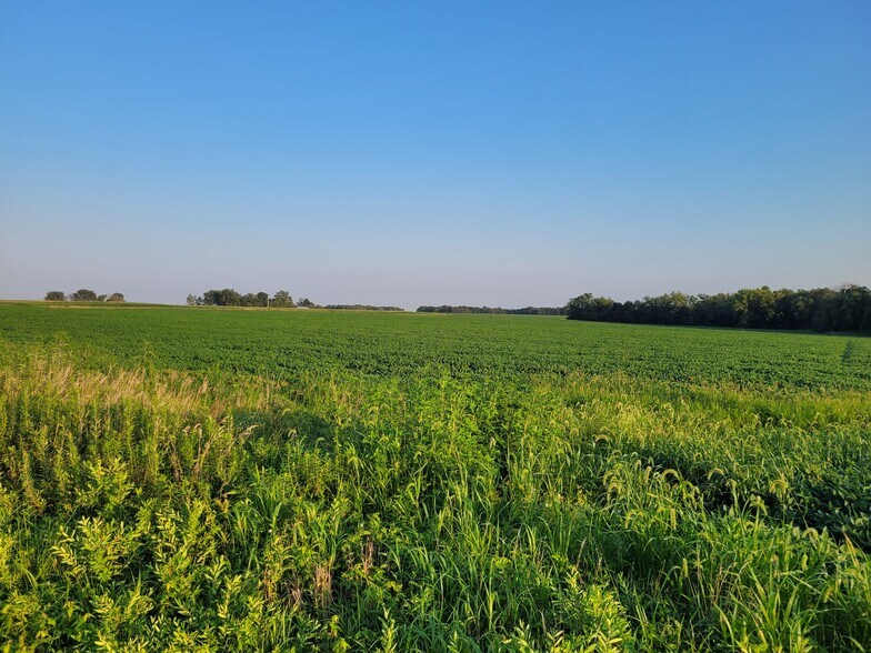 Highway DD (123.22 ac) Tract A, Bellflower, MO à vendre - Photo principale – Image 2 sur 33