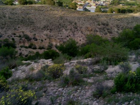 Terrain dans Alguazas, Murcia à vendre - Aérien – Image 1 sur 9