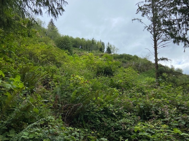 TL 203 Beaver Creek, Seal Rock, OR à vendre Autre– Image 1 sur 13