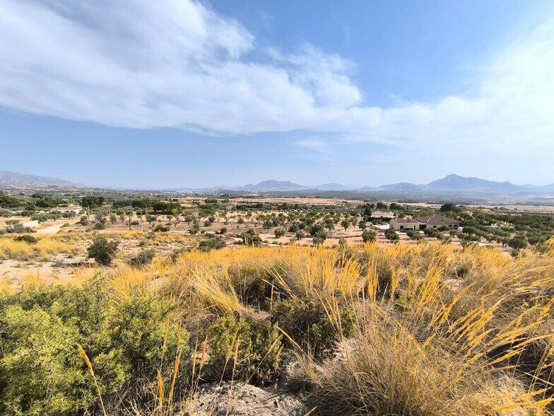 Terrain dans Sax, Alicante à vendre - Photo principale – Image 1 sur 6