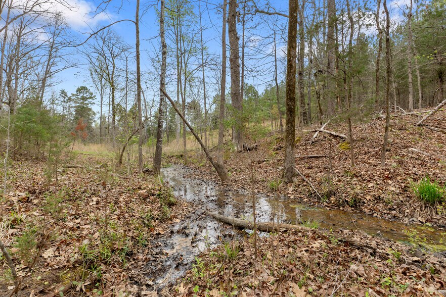 2482 Old Douglass Rd, Winnsboro, SC à vendre - Photo de l’immeuble – Image 2 sur 29