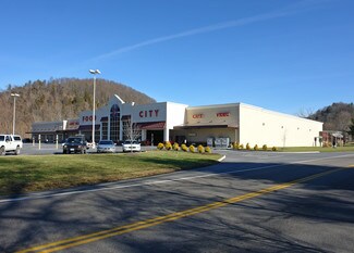 Plus de détails pour 736 N Beaver Dam Ave, Damascus, VA - Bureau/Local commercial à louer