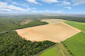 Plus de détails pour 0 Old Stage rd, Repton, AL - Terrain à vendre