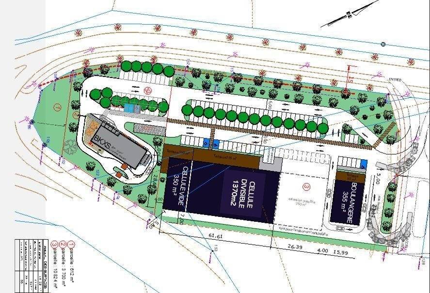 Local d’activités dans Digoin à louer Plan de site– Image 1 sur 3