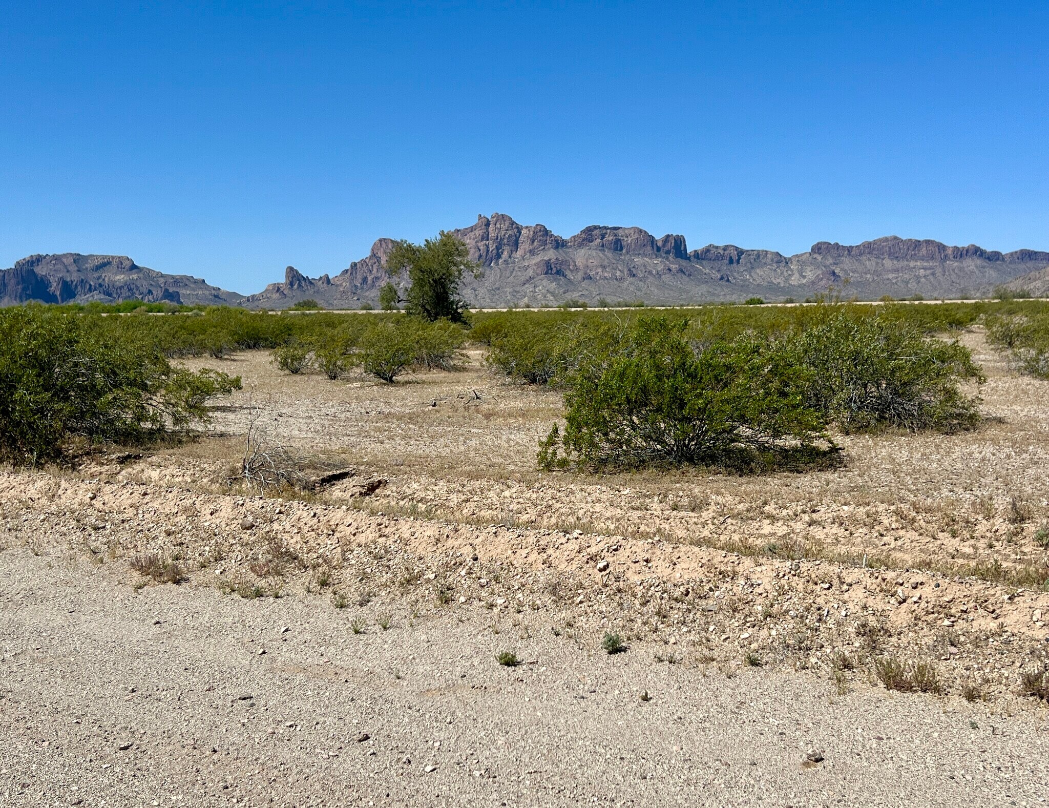 0 W 548th Ave, Tonopah, AZ à vendre Photo principale– Image 1 sur 11