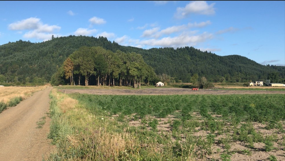 NW Sauvie Island Rd, Portland, OR à louer - Photo de l’immeuble – Image 2 sur 28