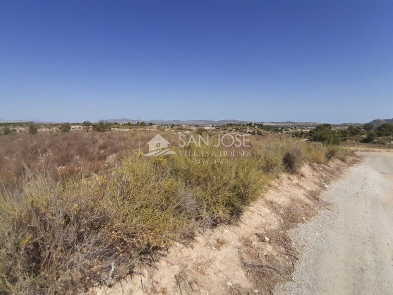 Terrain dans Novelda, Alicante à vendre - Photo principale – Image 2 sur 11