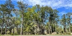 HWY 1088, Mandeville, LA à vendre - Photo de l’immeuble – Image 2 sur 2