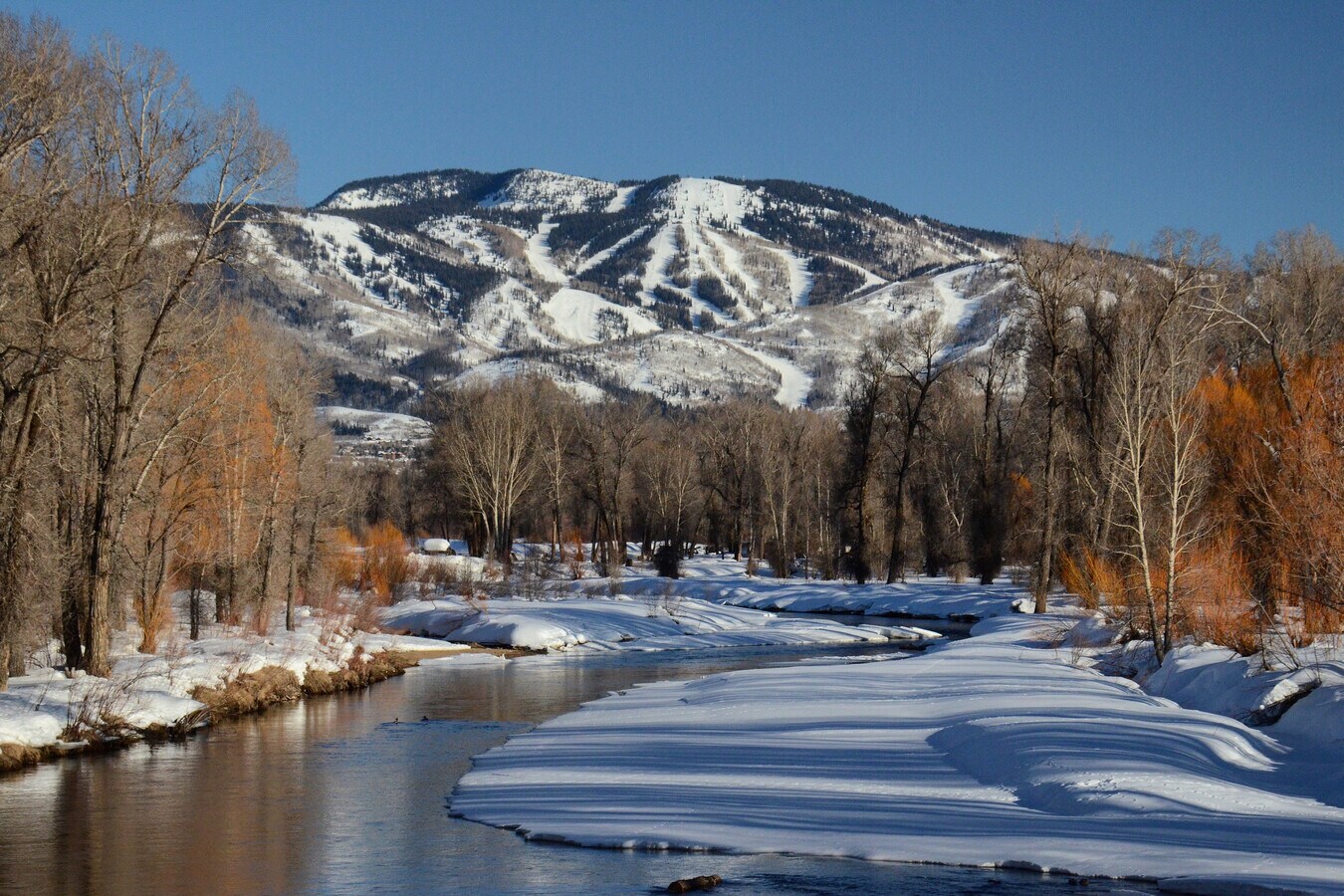 View Photo