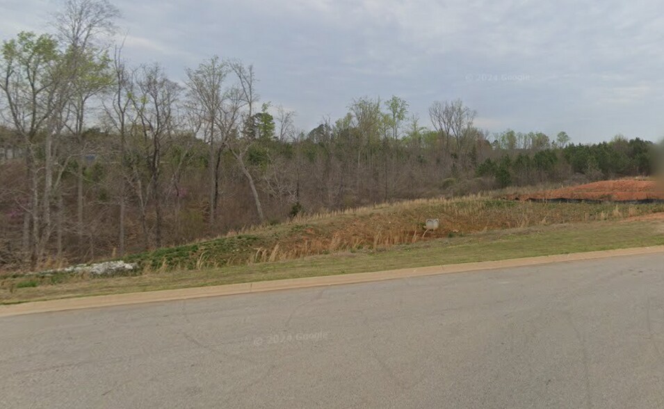 Lemmons Lane & Baxter Road, Gaffney, SC à vendre - Photo de l’immeuble – Image 3 sur 7