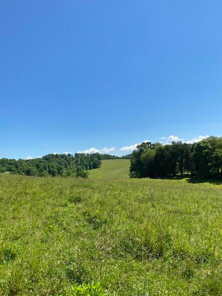 Chapman Rd, LaFollette, TN à vendre - Photo de l’immeuble – Image 1 sur 8