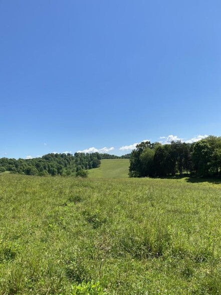 Chapman Rd, Lafollette, TN à vendre - Photo de l’immeuble – Image 1 sur 8