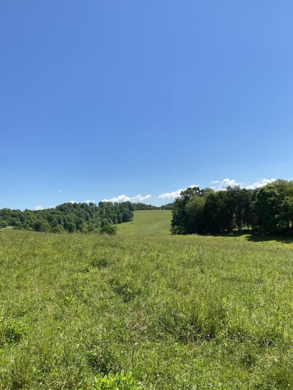 Chapman Rd, Lafollette, TN à vendre Photo de l’immeuble– Image 1 sur 9