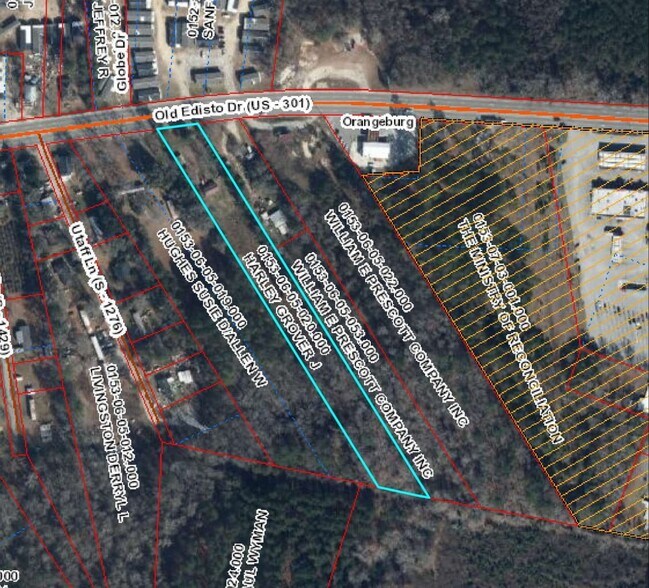 1999 Old Edisto Dr, Orangeburg, SC à vendre - Photo principale – Image 1 sur 3
