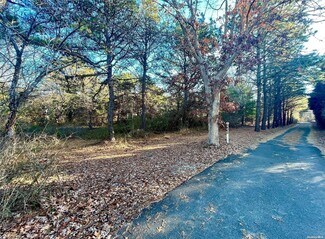 Plus de détails pour 1818 County Road 39, Southampton, NY - Terrain à vendre