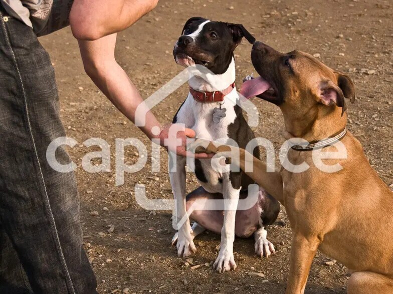 Local d'activités dans Montlhéry à vendre - Photo de l’immeuble – Image 1 sur 2