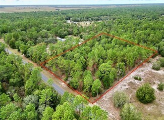 Plus de détails pour TBD Southwest 97th Place, Dunnellon, FL - Terrain à vendre