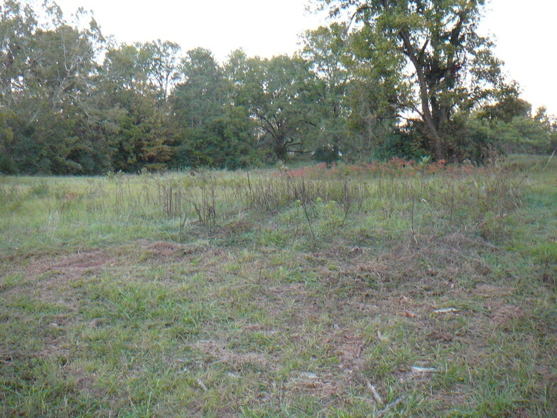 502 N Calhoun St, Calhoun Falls, SC à vendre - Photo de l’immeuble – Image 2 sur 5