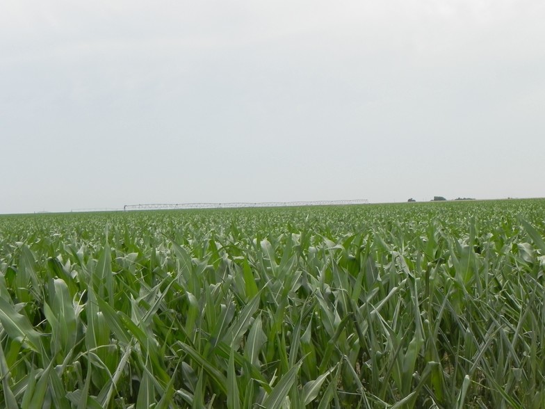960 Acres In Cimarron County Ok, Texhoma, OK à vendre - Autre – Image 1 sur 1