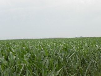 Plus de détails pour 960 Acres In Cimarron County Ok, Texhoma, OK - Terrain à vendre