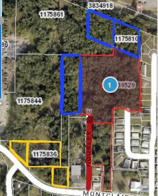 Plus de détails pour 0 GOURLEY, Leesburg, FL - Terrain à vendre