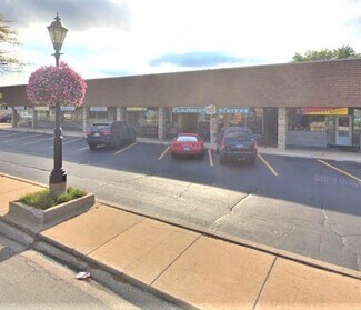 Plus de détails pour 17010-17060 S Oak Park Ave, Tinley Park, IL - Bureau, Local commercial à louer