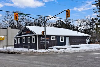 Plus de détails pour 1535 Mosley St, Wasaga Beach, ON - Local commercial à vendre