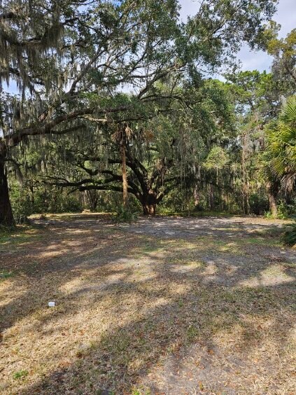 474455 E Sr 200 Highway A1A, Fernandina Beach, FL à louer - Autre – Image 3 sur 18