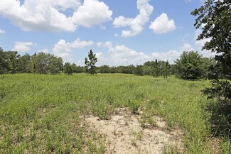 Plus de détails pour 3201 Desoto Rd, Sebring, FL - Terrain à vendre