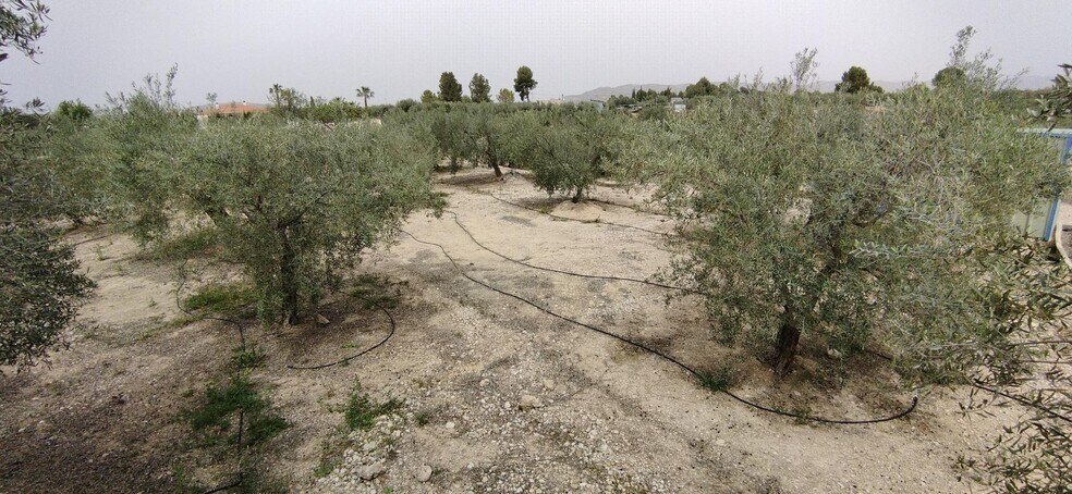 Terrain dans Calasparra, Murcia à vendre - Photo de l’immeuble – Image 2 sur 19