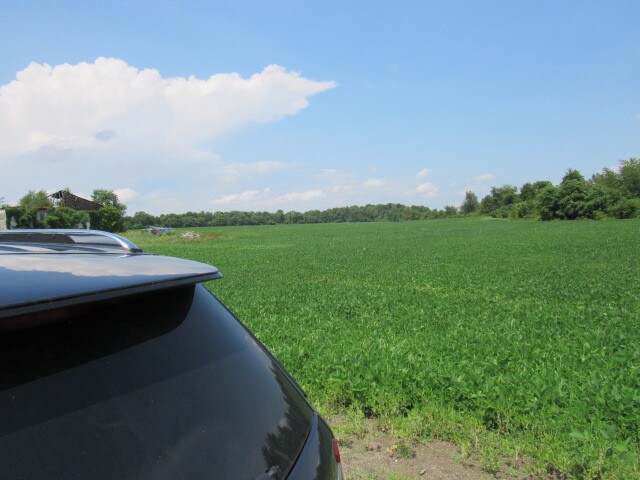 View Photo