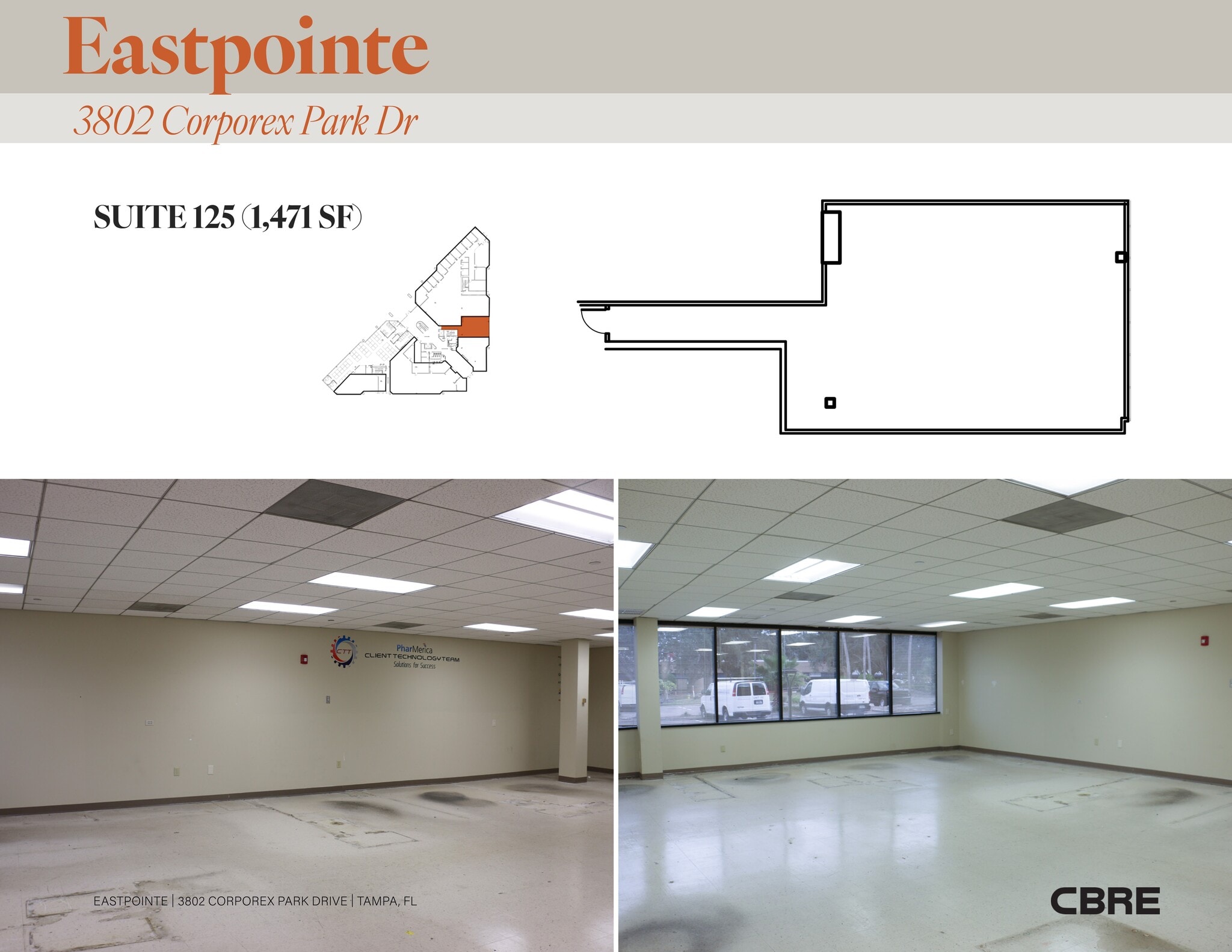 3802 Corporex Park Dr, Tampa, FL à louer Plan de site– Image 1 sur 1