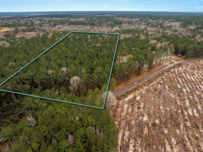 TBD 11 acres Tatoo Rd, Glenmora, LA à vendre - Photo de l’immeuble – Image 2 sur 17
