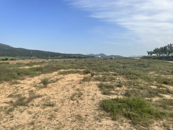 Terrain dans Salinas, Alicante à vendre - Plan de site – Image 2 sur 6