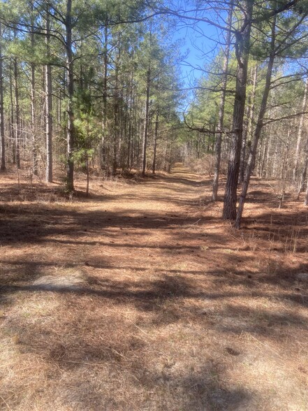 N Highway 171 Edford Reese Road Rd, Gibson, GA à vendre - Autre – Image 3 sur 8