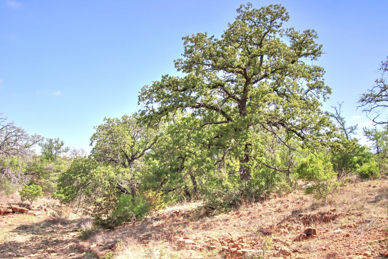 View Photo