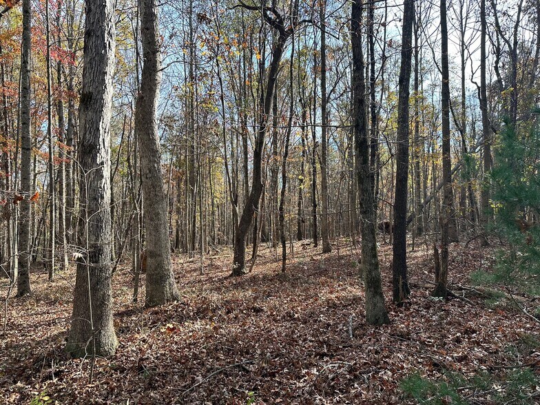 0 Hollywood Hwy, Clarkesville, GA à vendre - Photo principale – Image 1 sur 4
