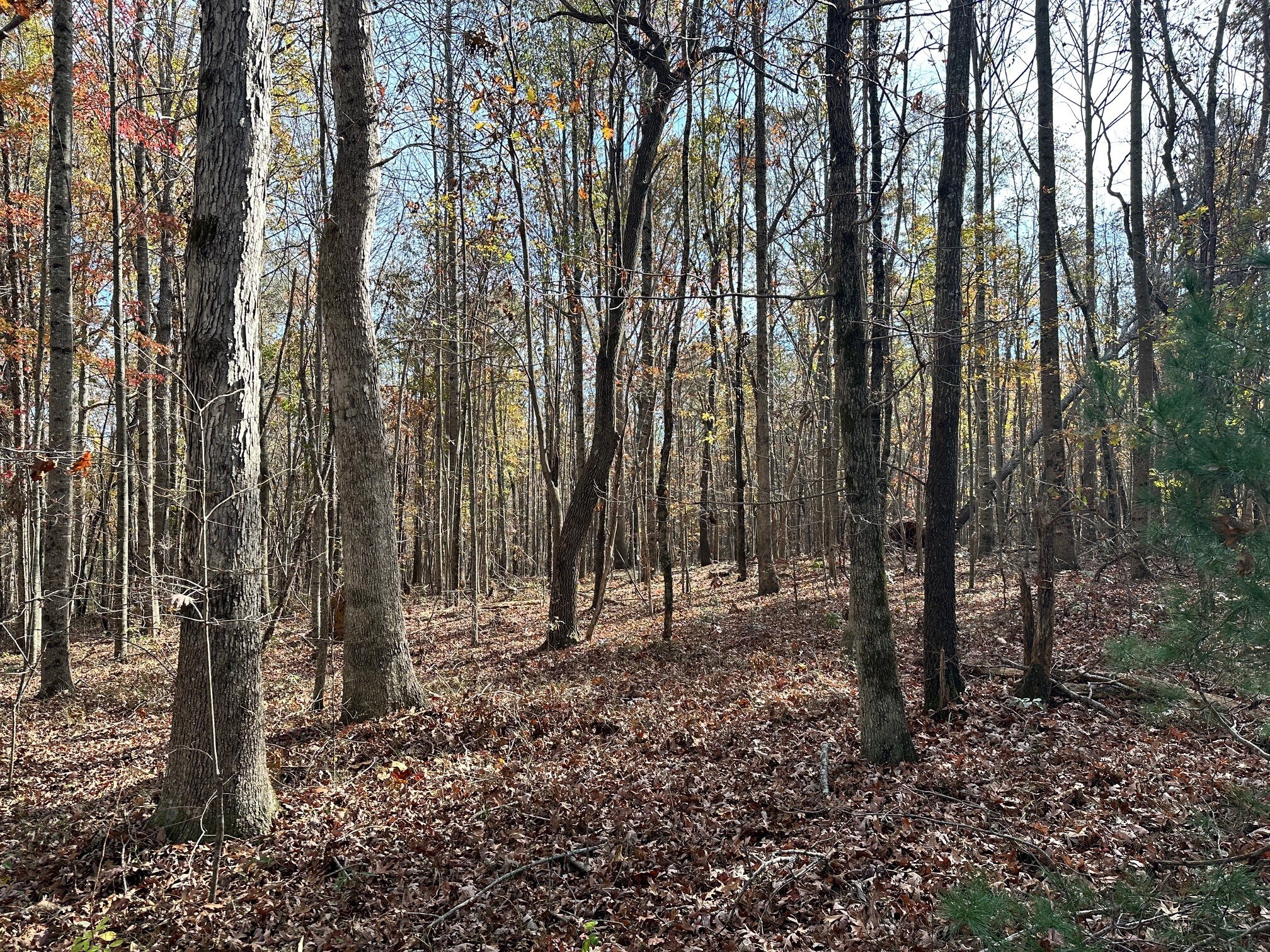 0 Hollywood Hwy, Clarkesville, GA à vendre Photo principale– Image 1 sur 5