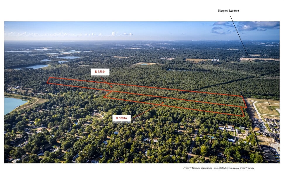 53.8 Acres off Hwy 242, Conroe, TX à vendre - Photo principale – Image 1 sur 6