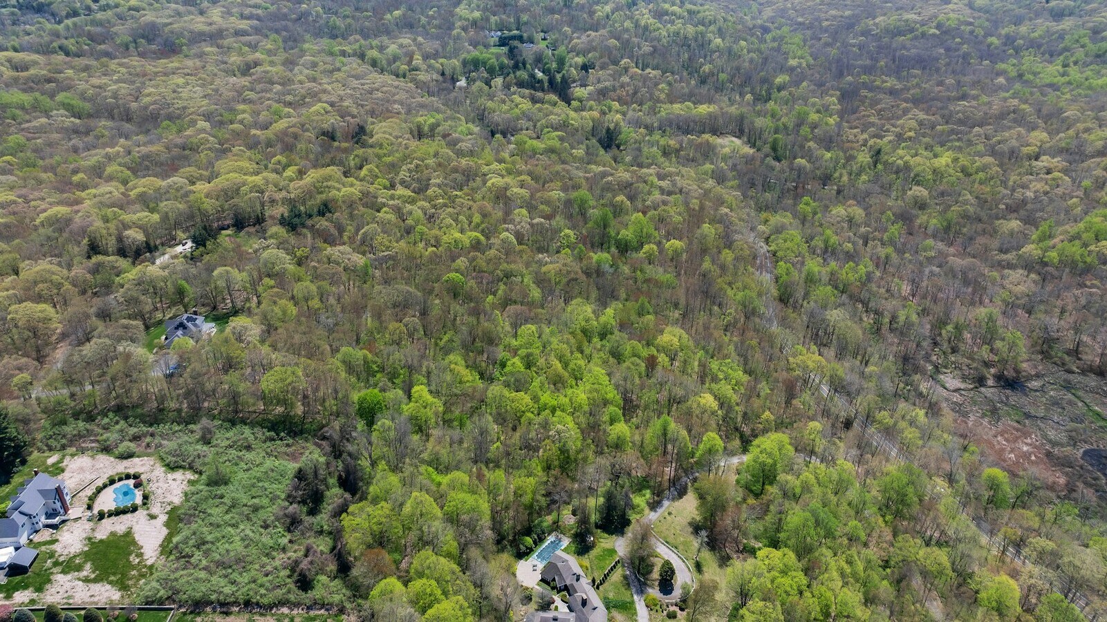 View Photo